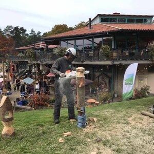 SIGHT Landscaping b.v. image 1