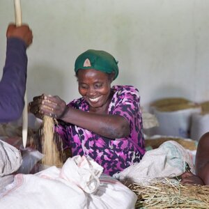 Stichting ZOA image 1