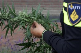 Twee aanhoudingen in onderzoek naar hennepkwekerij