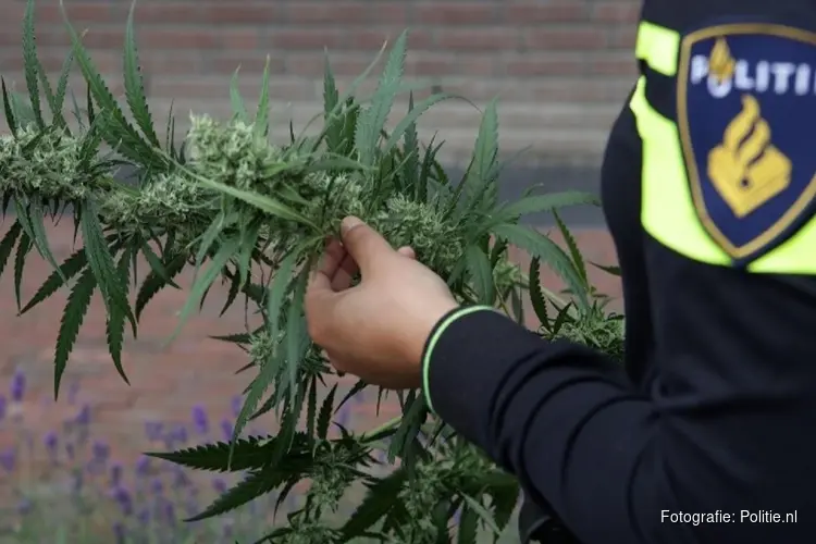 Twee aanhoudingen in onderzoek naar hennepkwekerij