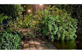 Flinke onweersbuien zorgen voor stormschade