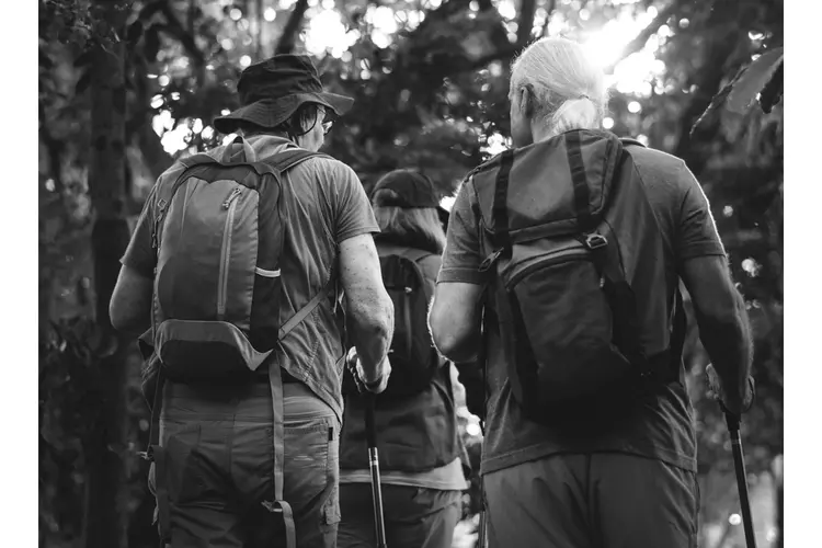 Nijmeegse Vierdaagse van start met ruim 45.700 deelnemers