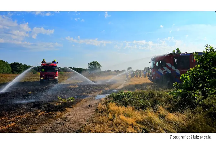 Bosbrand bij Vierhouten snel onder controle, politie onderzoekt mogelijke brandstichting