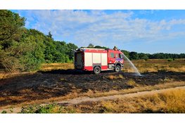 Bosbrand bij Vierhouten snel onder controle, politie onderzoekt mogelijke brandstichting