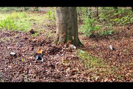 Auto belandt na slip tegen boom op Soerelseweg in Epe