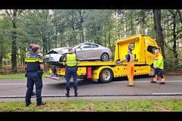 Auto belandt na slip tegen boom op Soerelseweg in Epe