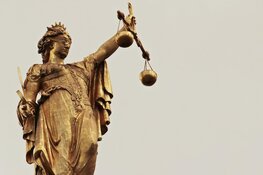 Gruwelijke doodslag in Apeldoorn: OM eist 10 jaar celstraf en tbs met dwang tegen verdachte