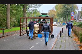 Twee koeien ontsnappen bij slachthuis in Epe en belanden op voetbalvelden EZC ’84