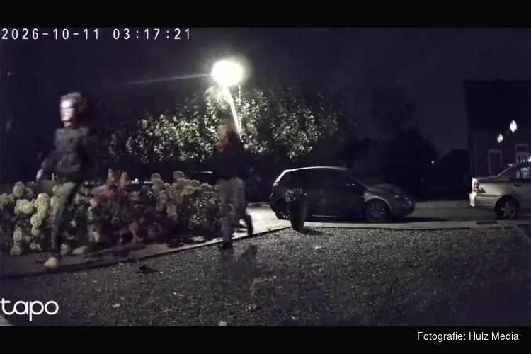 Politie zoekt getuigen na diefstal van regenboogvlaggen in Oldebroek en Oosterwolde