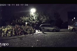 Politie zoekt getuigen na diefstal van regenboogvlaggen in Oldebroek en Oosterwolde